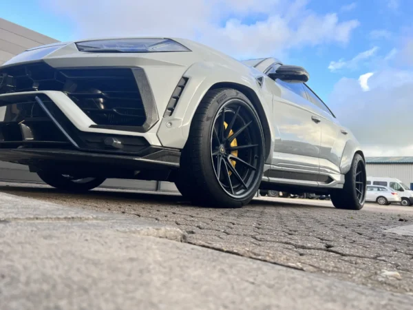 Lamborghini Level 1 Tuning Remap Service Powergate 4 Home Tuning Tool - Image 4