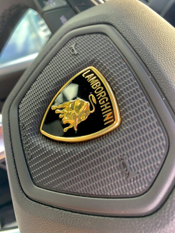 Lamborghini Level 1 Tuning Remap Service Powergate 4 Home Tuning Tool - Image 6